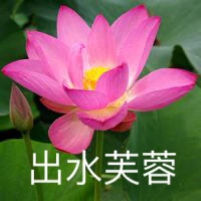 英雄联盟韩国手游版下载